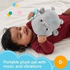 FISHER-PRICE Raminantis vibruojantis Drambliukas