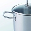 Nerūdijančio plieno puodas su stikliniu dangteliu FISSLER Viseo 2,1 l K2