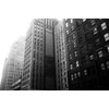 Foma Fomapan 200 135/36 DX