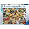 Food Collage 2000 Piece Puzzle - RAVENSBURGER dėlionė