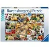 Food Collage 2000 Piece Puzzle - RAVENSBURGER dėlionė