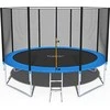 Batutas su tinklu FunFit 435cm + kopetėlės