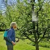 Gardena Ant nugaros nešiojamas purkštuvas 12 l
