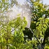 Gardena Ant nugaros nešiojamas purkštuvas 12 l