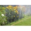 Žarna purkštukui - ilgis 15 m, oranžinė Gardena 996-20 9008840-01