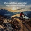 Green Cell Žalias Cell GC Silverfish akumuliatorius, skirtas Ebike elektriniam dviračiui su 24V 11.6Ah 278Wh Silverfish įkrovikliu Prophete, be kita ko.