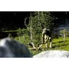 Gerber kirvis Bushcraft Axe - Coyote (didelis)