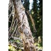 Gerber kirvis Bushcraft Axe - Coyote (didelis)
