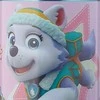 Gertuvė Spin Master Paw Patrol 400ml aliuminio buteliukas