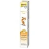 Gimborn GimCat Multivitamin Paste Professional 100g pasta katėms imuniteto stiprinimui