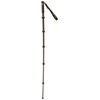 Gitzo monopod GM2562T Traveler