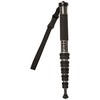 Gitzo monopod GM2562T Traveler