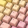 Klaviatūra Glorious GPBT Basics Keycaps (GLO-KC-GPBT-PG)