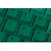 Klaviatūra Glorious GPBT Keycaps – 115 PBT Tastenkappen, ISO, ES-išdėstymas, Rain Forest