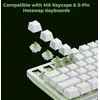 Glorious Raptor Switches, mechaniniai mygtukai, 5-pin, clicky, MX-Stem, 55g - 36 pieces