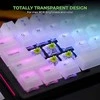 Glorious Raptor Switches, mechaniniai mygtukai, 5-pin, clicky, MX-Stem, 55g - 36 pieces