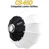 Godox CS-65D žibintuvėlis