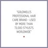 Šampūnas nepaklusniems plaukams Goldwell Just Smooth Taming Šampūnas 250ml