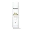 Goldwell Dualsenses Rich Repair Šampūnas atstatantis plaukų šampūnas, 250 ml