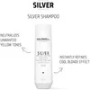 Šviesių plaukų šampūnas Goldwell Sidabrinis Šampūnas 250ml