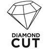 Graphite Deimantinis skydas (Cro Diamond Shield 250 x 25,4 mm, pilnas)