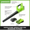 Akumuliatorinis lapų pūstuvas Greenworks G24ABK2; 24 V; 1x2,0 Ah akum.