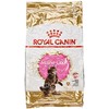Royal Canin Maine Coon kačiukas 10kg