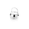 JAV GSI Glacier Stainless Tea Virdulys 950 ml arbatinukas