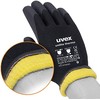 Žieminės pirštinės Uvex Unilite Thermo Plus, 10 dydis