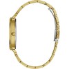 Laikrodis Watches GUESS LADIES W1231L2