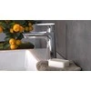 Hansgrohe Maišytuvas praustuvui HG Talis E110 71714000