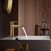 Praustuvo maišytuvas Hansgrohe Talis E 71713990, poliruoto aukso