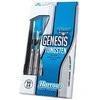 Harrows Smiginio strėlytės plieno antgalis GENESIS 3x25gR