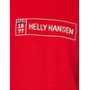 Helly Hansen 1877 džemperis su gobtuvu vyrams 53338-111