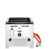 Keptuvė dujinė Bake Master Mini 290x480mm 5.8kW - Hendi 154601