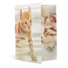 Herma Folder A4 Blizgus Katze