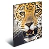 Laikiklis „Herma Folder A3 Leopard“ (7142)