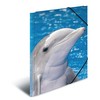Laikiklis Herma Folder Sammelmappe A3 Delfin Polipropilenas