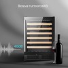 Winecooler Hisense