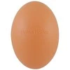 Holika Holika Smooth Egg Skin Cleansing Foam valomosios putos veido odai, 140 ml