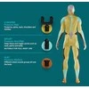 Homedics NOVO mini masažo pistoletas PGM-45BK