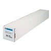 Hewlett Packard (HP) HP matinis lito-realistinis rašalinis popierius 914mmx30,5m
