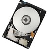 IBM 500GB 2.5'' SATA III (6Gb/s) serverio diskas (42D0753)