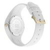 Laikrodis Watches ICE WATCH 016721