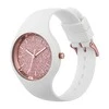 Laikrodis Watches ICE WATCH 001350