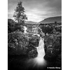 Fotojuosta Ilford ORTHO Plus 120