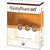 Insert GT arbatpinigiai