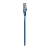 INTELLINET UTP LAN Cat6, kabelis, patch, 2.0m, mėlynas, 342599