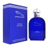 Kvepalai vyrams Jaguar Evolution EDT, 100 ml
