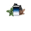 Jimmy Choo Man Mėlyna EDT tualetinis vanduo vyrams, 100 ml